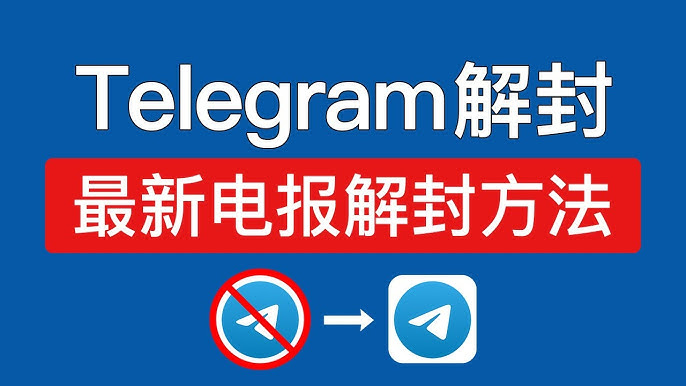 Telegram热门妹子图解析与应用-3