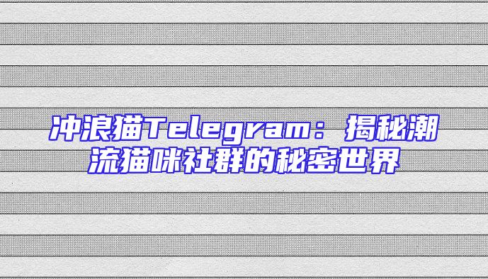 冲浪猫Telegram：揭秘潮流猫咪社群的秘密世界
