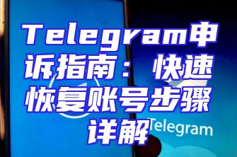 Telegram申诉指南：快速恢复账号步骤详解