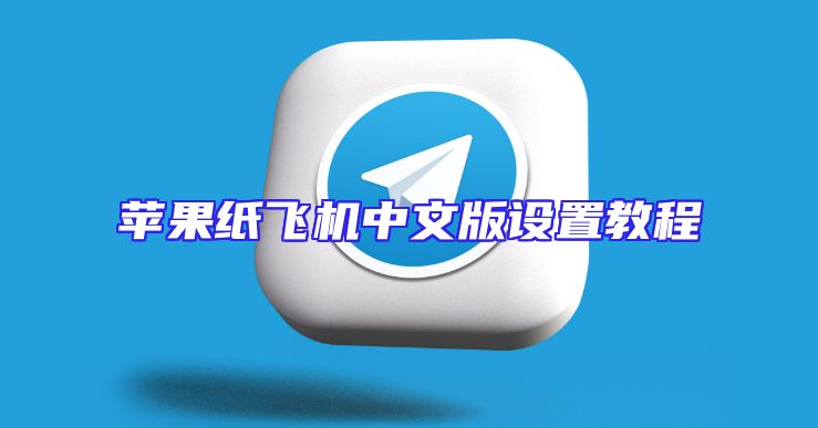 苹果纸飞机中文版设置教程
