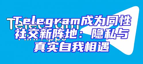 Telegram成为同性社交新阵地：隐私与真实自我相遇