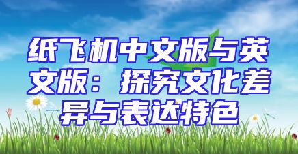纸飞机中文版与英文版：探究文化差异与表达特色