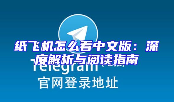 纸飞机怎么看中文版：深度解析与阅读指南