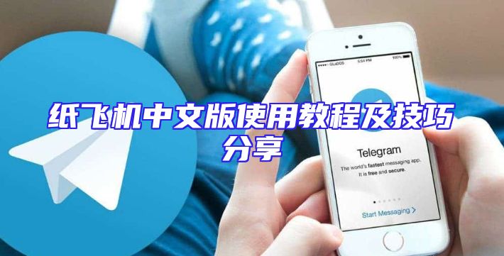 纸飞机中文版使用教程及技巧分享