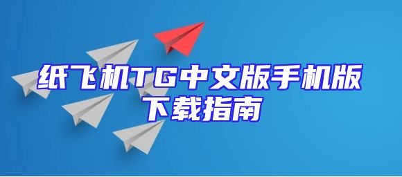 纸飞机TG中文版手机版下载指南