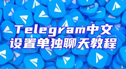 Telegram中文设置单独聊天教程