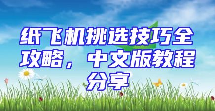 纸飞机挑选技巧全攻略，中文版教程分享