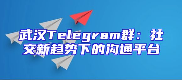 武汉Telegram群：社交新趋势下的沟通平台