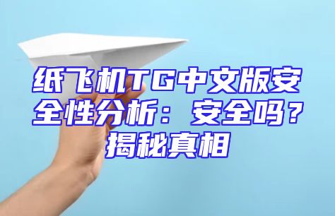 纸飞机TG中文版安全性分析：安全吗？揭秘真相