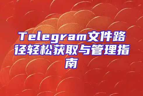 Telegram文件路径轻松获取与管理指南