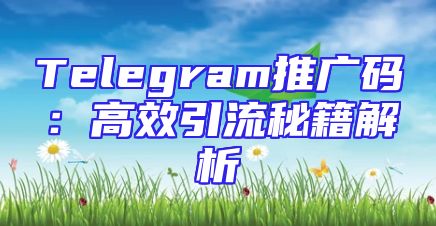 Telegram推广码：高效引流秘籍解析