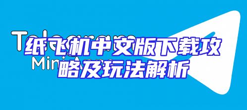 纸飞机中文版下载攻略及玩法解析