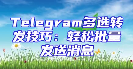 Telegram多选转发技巧：轻松批量发送消息