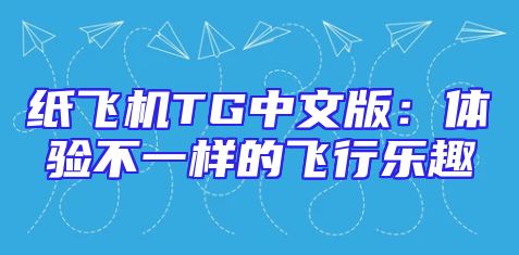 纸飞机TG中文版：体验不一样的飞行乐趣