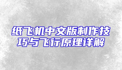 纸飞机中文版制作技巧与飞行原理详解