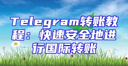 Telegram转账教程：快速安全地进行国际转账