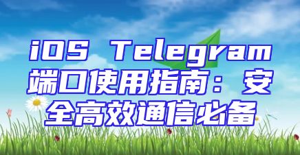 iOS Telegram端口使用指南：安全高效通信必备