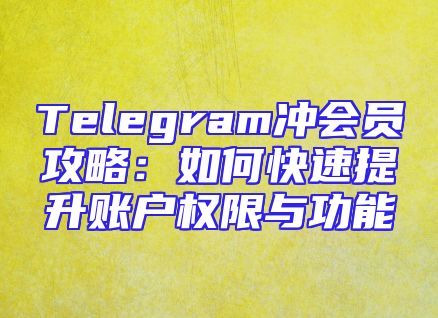 Telegram冲会员攻略：如何快速提升账户权限与功能