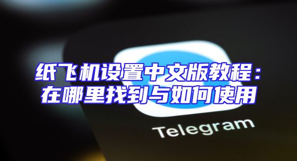 纸飞机设置中文版教程：在哪里找到与如何使用
