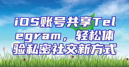 iOS账号共享Telegram，轻松体验私密社交新方式