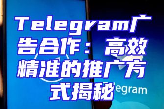 Telegram广告合作：高效精准的推广方式揭秘