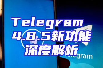 Telegram 4.8.5新功能深度解析