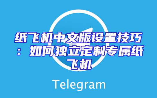 纸飞机中文版设置技巧：如何独立定制专属纸飞机