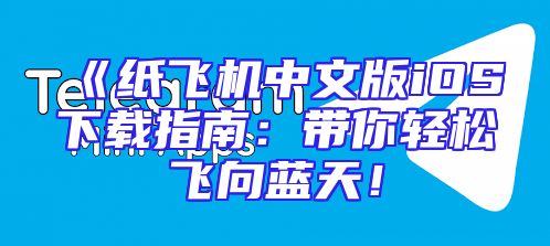 《纸飞机中文版iOS下载指南：带你轻松飞向蓝天！
