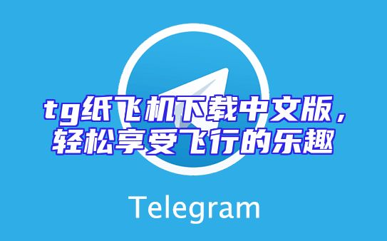 tg纸飞机下载中文版，轻松享受飞行的乐趣