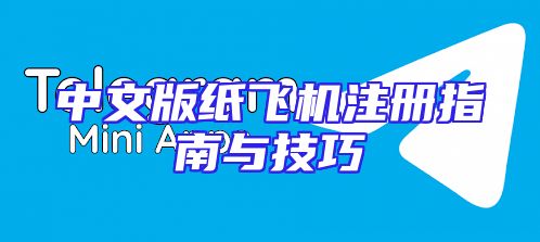 中文版纸飞机注册指南与技巧