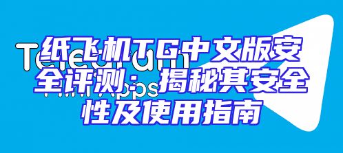 纸飞机TG中文版安全评测：揭秘其安全性及使用指南