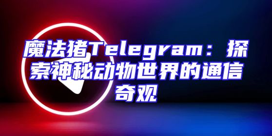 魔法猪Telegram：探索神秘动物世界的通信奇观