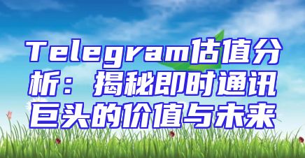 Telegram估值分析：揭秘即时通讯巨头的价值与未来