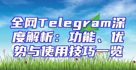 全网Telegram深度解析：功能、优势与使用技巧一览
