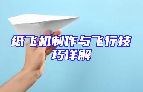 纸飞机制作与飞行技巧详解