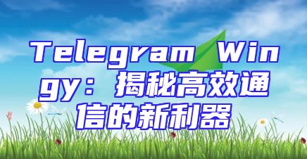Telegram Wingy：揭秘高效通信的新利器