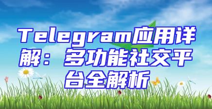 Telegram应用详解：多功能社交平台全解析