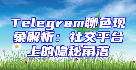 Telegram聊色现象解析：社交平台上的隐秘角落