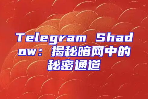 Telegram Shadow：揭秘暗网中的秘密通道