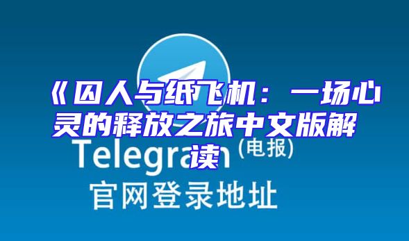 《囚人与纸飞机：一场心灵的释放之旅中文版解读