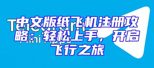 中文版纸飞机注册攻略：轻松上手，开启飞行之旅