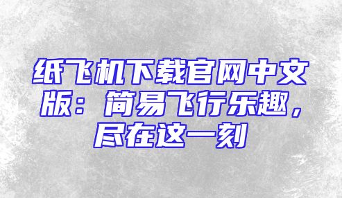 纸飞机下载官网中文版：简易飞行乐趣，尽在这一刻