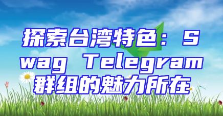 探索台湾特色：Swag Telegram群组的魅力所在