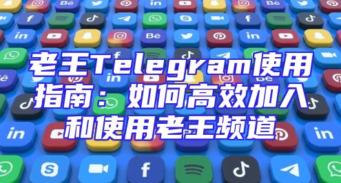 老王Telegram使用指南：如何高效加入和使用老王频道