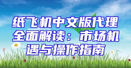 纸飞机中文版代理全面解读：市场机遇与操作指南