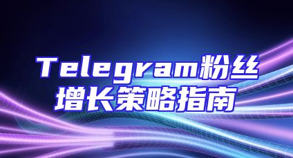 Telegram粉丝增长策略指南