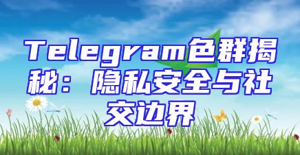Telegram色群揭秘：隐私安全与社交边界