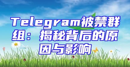 Telegram被禁群组：揭秘背后的原因与影响