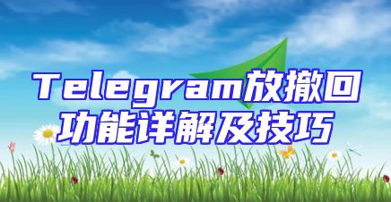 Telegram放撤回功能详解及技巧