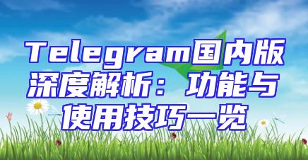Telegram国内版深度解析：功能与使用技巧一览